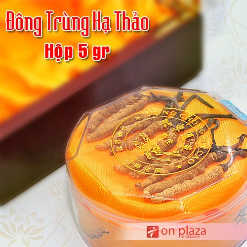 Địa chỉ bán đông trùng hạ thảo uy tín giá hợp lý