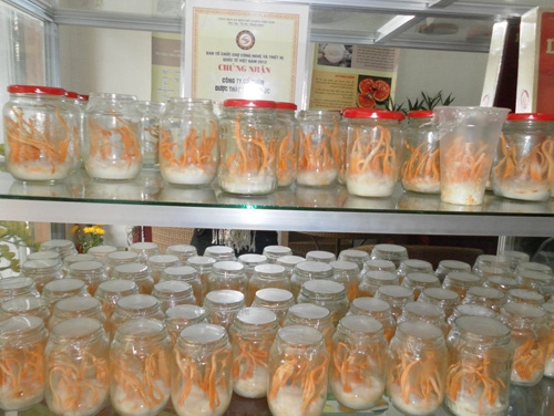 Phương pháp nuôi cấy đông trùng hạ thảo ở Việt Nam