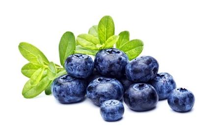 OTIV tinh chiết từ Blueberry giúp chống gốc tự do, bảo vệ mạch máu não và các tế bào thần kinh