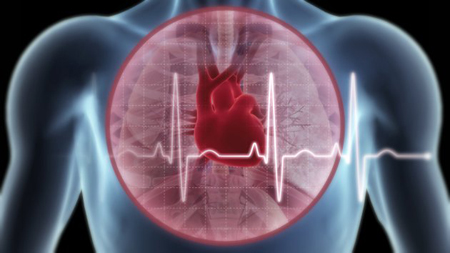 Angong niuhuang wan tác dụng làm hệ tim mạch khỏe mạnh