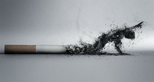 Hút thuốc lá có nguy cơ mắc bệnh tim mạch 