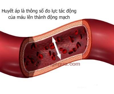 Các phương pháp hỗ trợ người tăng huyết áp đơn giản hiệu quả 