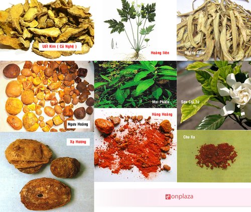 an cung ngưu hoàng hoàn Thành phần An cung ngưu hoàng hoàn hộp thiếc đỏ