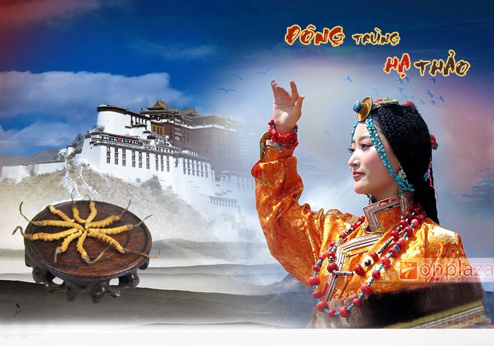 Nước uống đông trùng hạ thảo ba cô tiên lý thị loại nhập khẩu