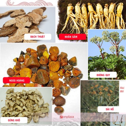 Thành phần Ngưu hoàng thanh tâm tịnh Thành phần ngưu hoàng thanh tâm hoàn
