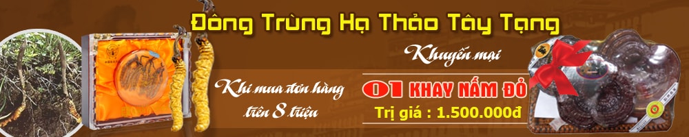 Chào xuân 2016 Khuyến mãi lớn cho khách hàng mua đông trùng hạ thảo 