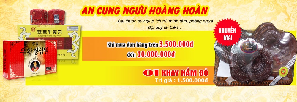 Từng bứng đón xuân 2016 khuyến mãi lớn khi mua an cung ngưu 