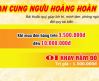 Từng bứng đón xuân 2016 khuyến mãi lớn khi mua an cung ngưu