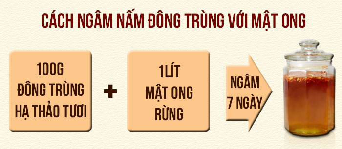 Các ngâm nấm đông trùng hạ thảo nhân tạo với mật ong Các ngâm nấm đông trùng hạ thảo nhân tạo với mật ong