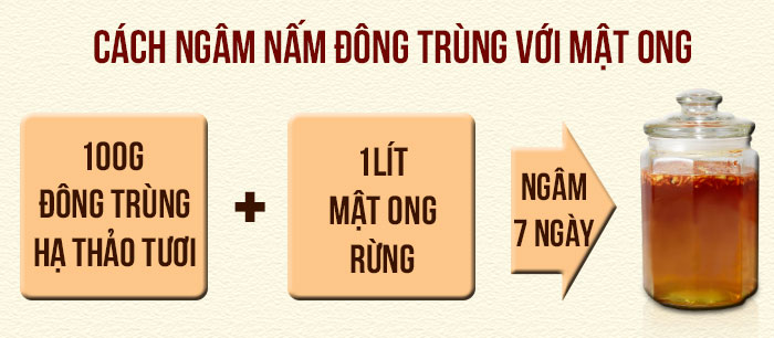 Các ngâm nấm đông trùng hạ thảo nhân tạo với mật ong