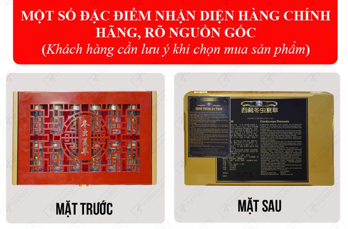 đặc điểm nhận biết Đông trùng hạ thảo nguyên con cao cấp thượng hạng loại 20g/hộp D054 chính hãng 1