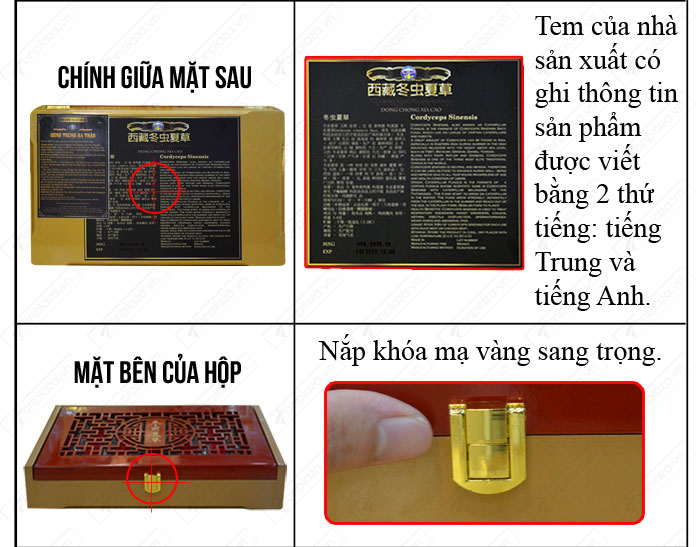 đặc điểm nhận biết Đông trùng hạ thảo nguyên con cao cấp thượng hạng loại 20g/hộp D054 chính hãng 3 đặc điểm nhận biết Đông trùng hạ thảo nguyên con cao cấp thượng hạng loại 20g/hộp D054 chính hãng 3