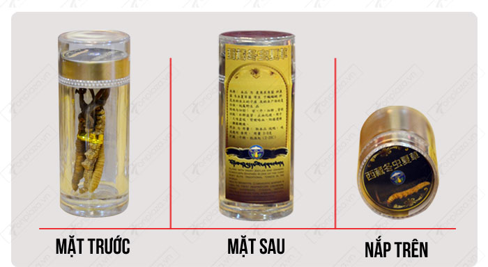 đặc điểm nhận biết Đông trùng hạ thảo nguyên con cao cấp thượng hạng loại 20g/hộp D054 chính hãng 5 đặc điểm nhận biết Đông trùng hạ thảo nguyên con cao cấp thượng hạng loại 20g/hộp D054 chính hãng 5
