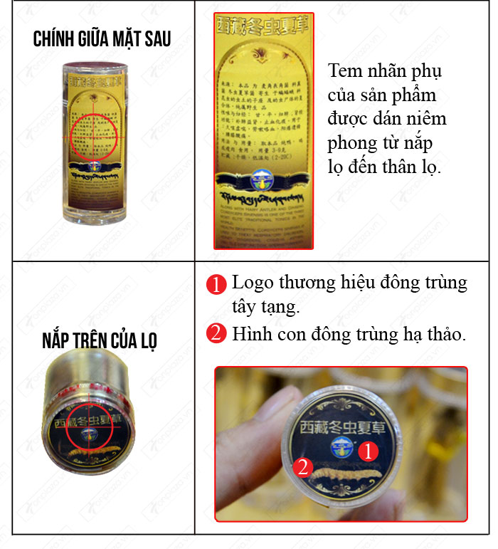đặc điểm nhận biết Đông trùng hạ thảo nguyên con cao cấp thượng hạng loại 20g/hộp D054 chính hãng 7 đặc điểm nhận biết Đông trùng hạ thảo nguyên con cao cấp thượng hạng loại 20g/hộp D054 chính hãng 7