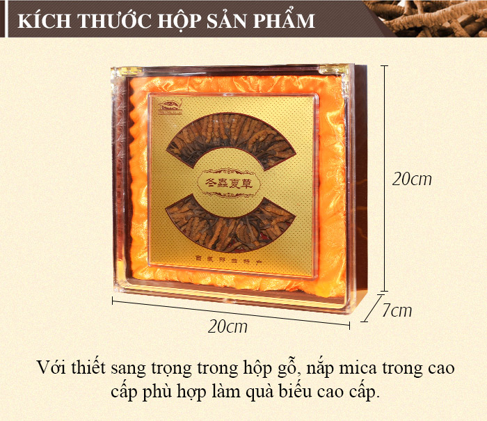 Đông trùng hạ thảo nguyên con Cao Cấp 100g D012 2 Đông trùng hạ thảo nguyên con Cao Cấp 100g D012 2