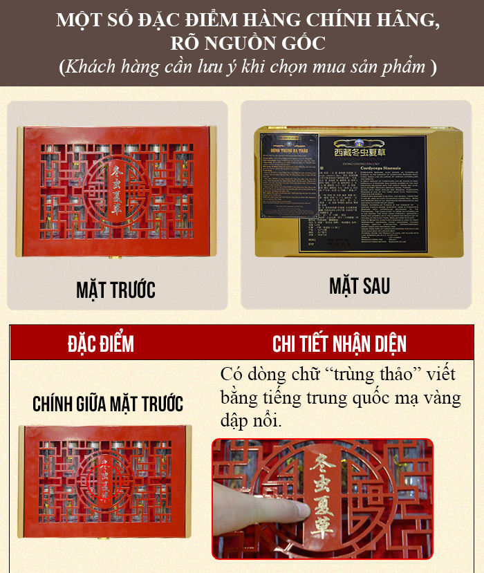 Đông trùng hạ thảo nguyên con cao cấp 50g/hộp D011 3