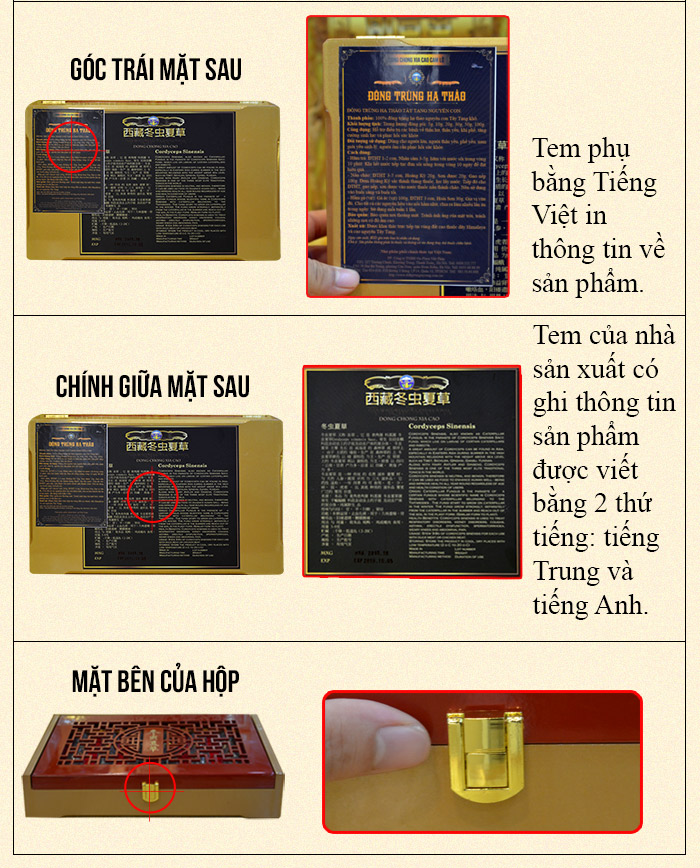 Đông trùng hạ thảo nguyên con cao cấp 50g/hộp D011 4 Đông trùng hạ thảo nguyên con cao cấp 50g/hộp D011 4