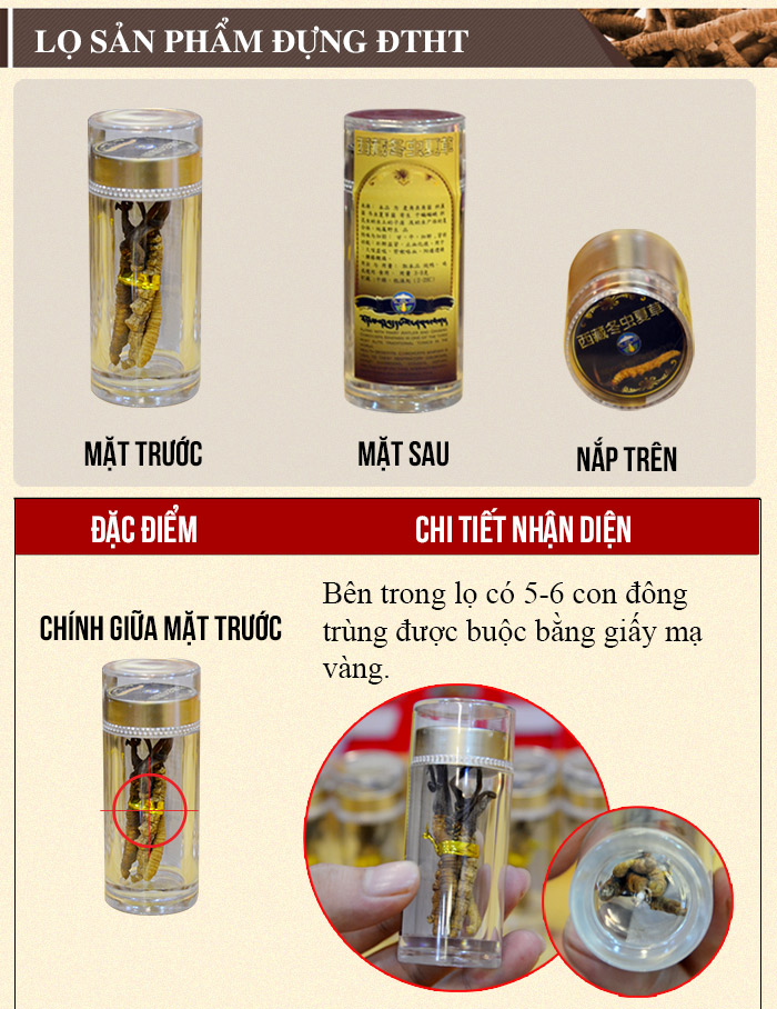 Đông trùng hạ thảo nguyên con cao cấp 50g/hộp D011 5