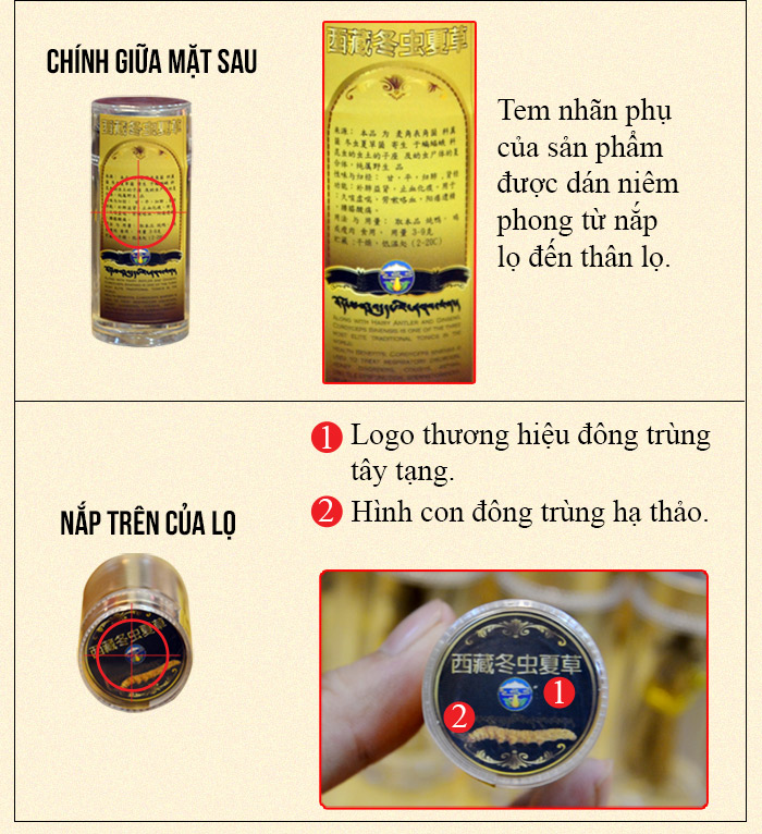 Đông trùng hạ thảo nguyên con cao cấp 50g/hộp D011 6