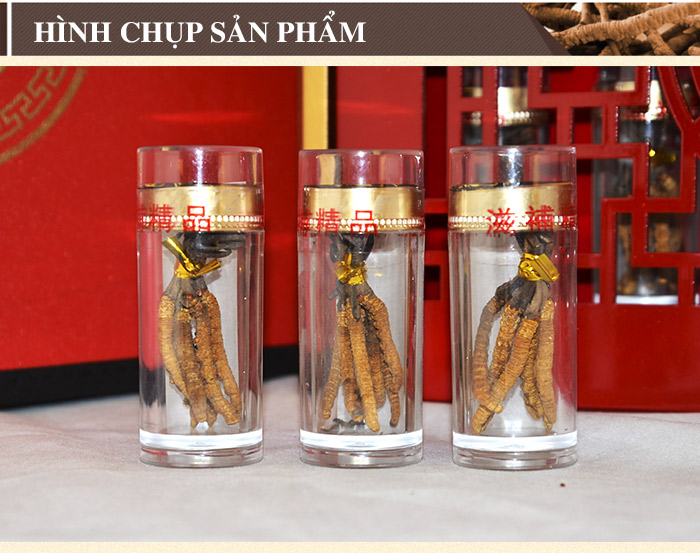 Đông trùng hạ thảo nguyên con cao cấp 50g/hộp D011 9 Đông trùng hạ thảo nguyên con cao cấp 50g/hộp D011 9