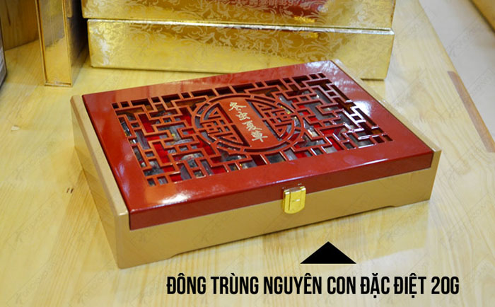 Đông trùng hạ thảo nguyên con loại đặc biệt 20g/12 ống/hộp D055 2