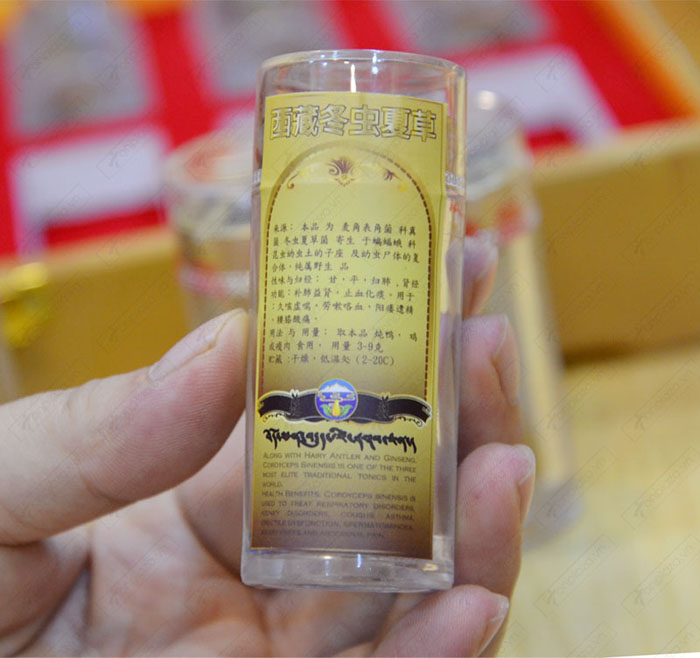 Đông trùng hạ thảo nguyên con loại đặc biệt 20g/12 ống/hộp D055 7 Đông trùng hạ thảo nguyên con loại đặc biệt 20g/12 ống/hộp D055 7