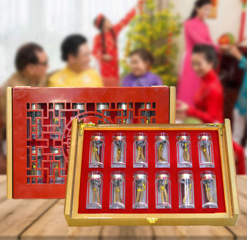 Đông trùng hạ thảo nguyên con cao cấp thượng hạng loại 20g/hộp ( hộp 12 ống) D054 1 Đông trùng hạ thảo nguyên con cao cấp thượng hạng loại 20g/hộp ( hộp 12 ống) D054 1