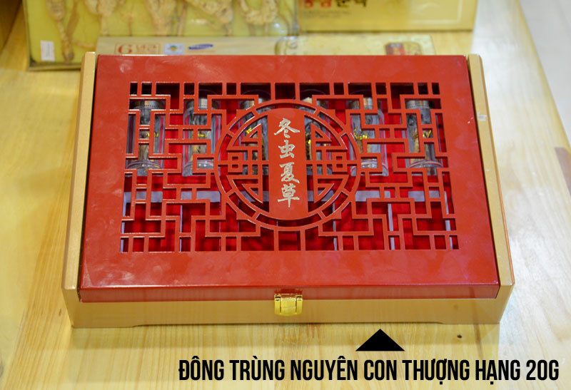 Đông trùng hạ thảo nguyên con cao cấp thượng hạng loại 20g/hộp ( hộp 12 ống) D054 2 Đông trùng hạ thảo nguyên con cao cấp thượng hạng loại 20g/hộp ( hộp 12 ống) D054 2