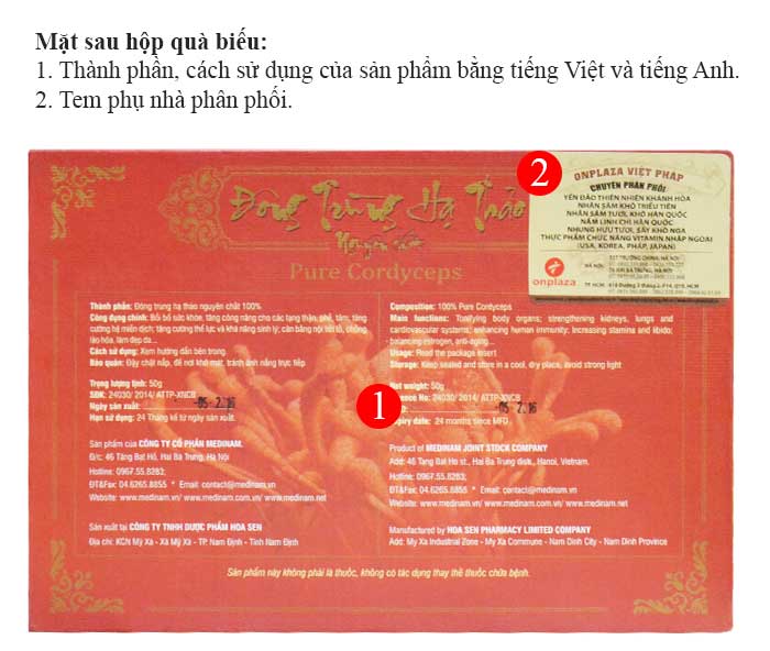 Mặt sao hộp đông trùng hạ thảo nhân tạo Việt Nam