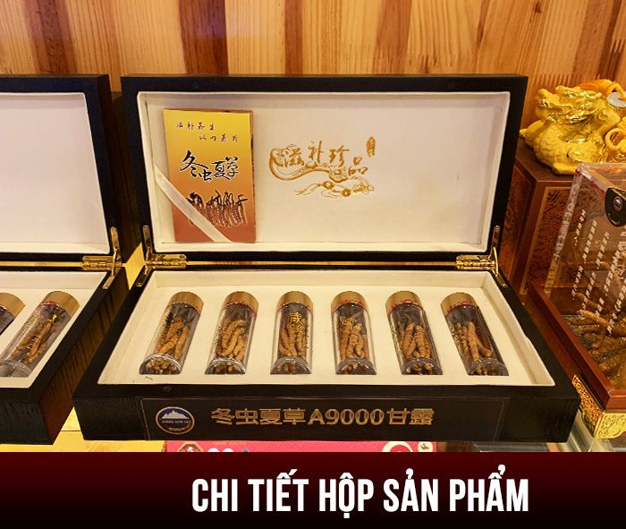 Đông trùng hạ thảo loại thường 10g D002 12