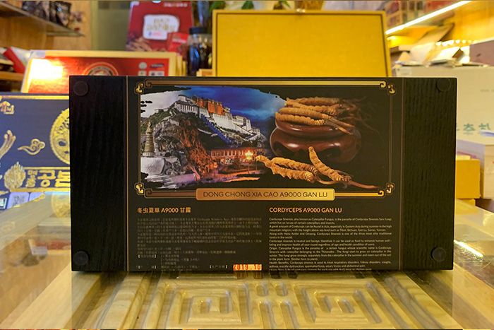 Đông trùng hạ thảo loại thường 10g D002 5 Đông trùng hạ thảo loại thường 10g D002 5