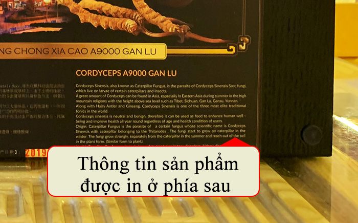 Đông trùng hạ thảo loại thường 10g D002 6 Đông trùng hạ thảo loại thường 10g D002 6
