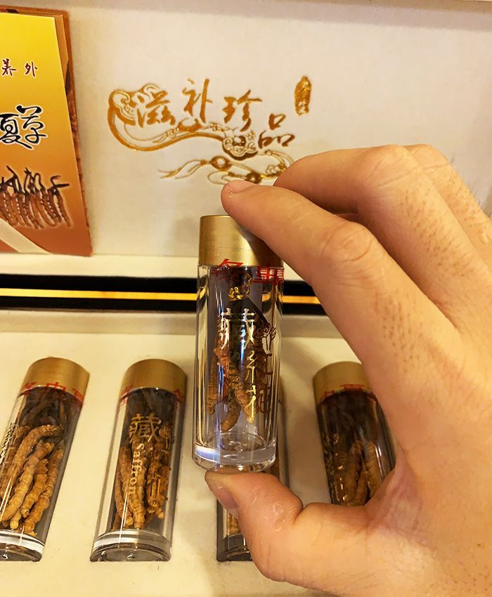 Đông trùng hạ thảo loại thường 10g D002 9 Đông trùng hạ thảo loại thường 10g D002 9