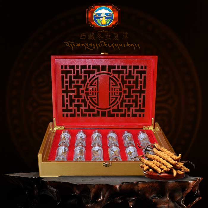 ĐTHT nguyên con Cao Cấp 50g/hộp Bán đông trùng hạ thảo nguyên con Cao Cấp 50g/hộp