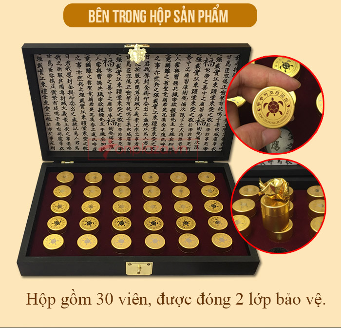 Đông trùng hạ thảo nhân sâm loại 30V D048 4