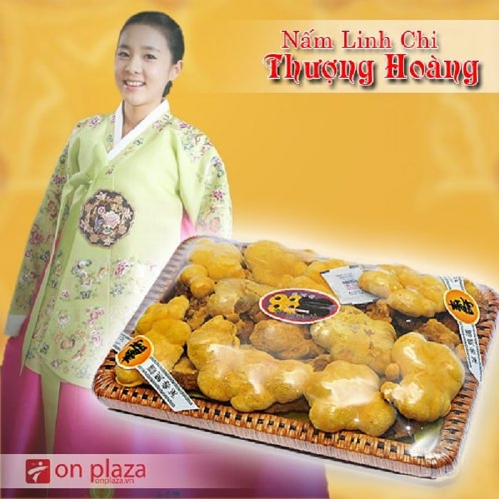 Nấm linh chi -quà biếu cho người mắc bệnh huyết áp