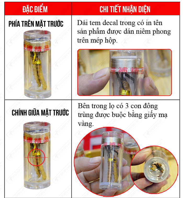 phân biệt Đông trùng hạ thảo nguyên con loại đặc biệt 20g/12 ống/hộp D055 5 phân biệt Đông trùng hạ thảo nguyên con loại đặc biệt 20g/12 ống/hộp D055 5