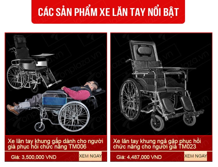Một số sản phẩm xe lăn tay nổi bật trên thị trường Hà Nội và Tp. Hồ Chí Minh